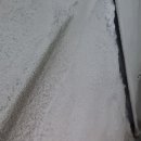 성실냉동