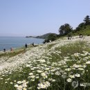 부안변산마실길 이미지