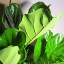 도희농장 이미지