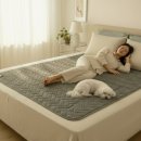 대경의료기 이미지