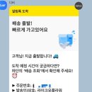 W28. 웨딩촬영 플라워디렉팅🌼ㅣ라이크유 플라워 비동행 상품 솔직후기💐