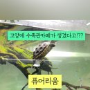 일산로695번길 이미지