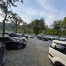 아기강아지 | 경기도 안양 삼막애견놀이터 아기랑 강아지 함께 방문 후기!