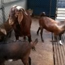 승희농장 이미지