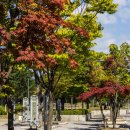 연일공원 입구 이미지