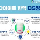 대구한의대포항한방병원 | 한의대생이 직접 먹어본 다이어트 한약 후기 (다이어트 한약 부작용, 대구한의대 한방병원 DS 시리즈)