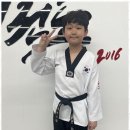 신세계태권도장 이미지