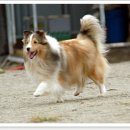 아이즈 오브 엔젤 이미지