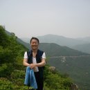 어쭈구리 티스토리