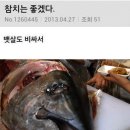 란참치 이미지