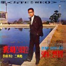 세월따라 노래따라 - 배호의 잊혀진 노래 이미지