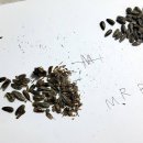 바른치킨군포부곡점 네이버블로그