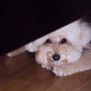 선미2농장 이미지