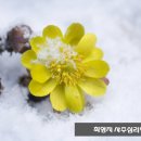 나를 찾아가는 사주명리학 Daum카페