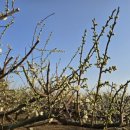 지리산쌍계한의원 이미지