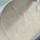 레드업 | 에스트라 레드진정 톤업 선크림 솔직후기