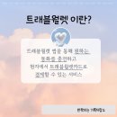 트래블 월렛 카드 정보 및 발급 후기(feat. 뉴욕 여행 준비 2)