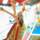 감동대게2호점 이미지