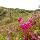 버스정류장(노인종합복지관 앞) 이미지