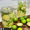 준이네농장 이미지