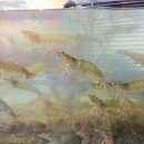 동부회센타 이미지