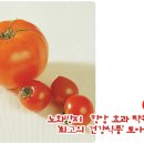 토마토 이미지