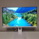 주식회사 플레이포트코리아 | 가성비 300Hz 고주사율모니터추천 25인치모니터 픽시오 하야부사 PX257H 사용후기 출시 기념 할인 혜택