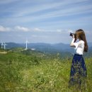 서광목장 이미지