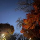 무악동배드민턴장 공중화장실 | 남산타워 북측 숲길 걸어서 올라가기 | 주말 야경 데이트 동선 주차 카페