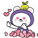 세진렌트카 이미지