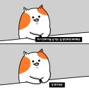 벌말기사식당 이미지