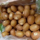 (주)골드레몬 이미지