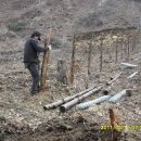 염소사육장 이미지