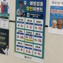 임산부 백일해 주사 종류 접종시기 주의사항 후기 , 화성시 병점 동탄 가격 비교