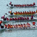 Dragon Park 이미지