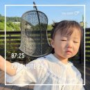 심콩 | [심콩이 543-544일] 너의 첫 물장구💦🩵