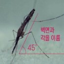 경보반점 이미지