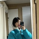 할리스테이