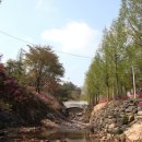 심천치유자연휴양림 이미지