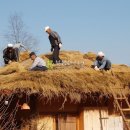 이섭대천로 5 Daum카페