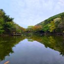 서구-01-02 | 부산 서구 가볼만한곳 대신동 구덕수원지 주차 비밀의숲 산책 꽃마을 공영주차장 요금