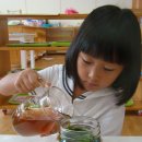 몬테소리유치원 이미지