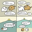 동부하나리무진 이미지