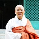 꽃비내리는숲