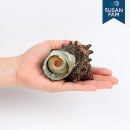 거제자연산회 이미지