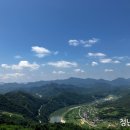 요기어때!
