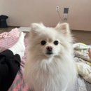 모모펜션민박 이미지