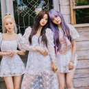 더모아솔라 이미지