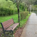 맨발걷기(노르딕워킹) | 노르딕워킹 VS 맨발걷기, 나에게 맞는 걷기법은?