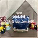 생리중 양이 많아서 숙면 걱정이라면이너시아 더프리즘 입는 오버나이트!